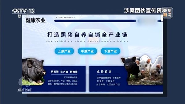 现货配资网站 万元认养一头猪，200天就能赚6000元？起底“云养殖”里的骗局